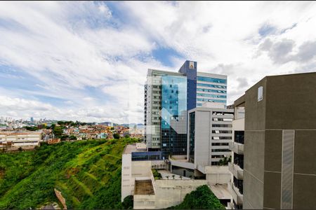 Vista de apartamento para alugar com 1 quarto, 51m² em Luxemburgo, Belo Horizonte