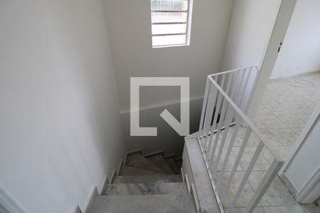 Escada de entrada de casa para alugar com 2 quartos, 45m² em Interlagos, São Paulo