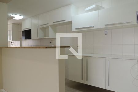 Apartamento para alugar com 114m², 4 quartos e 2 vagasCozinha - Armários