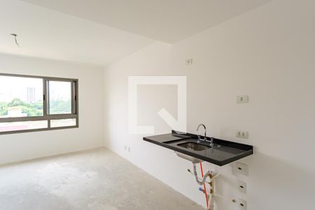 Cozinha de apartamento para alugar com 1 quarto, 25m² em Vila Zilda (tatuapé), São Paulo