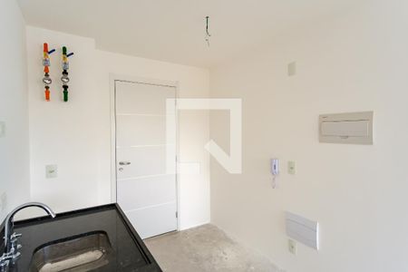 Cozinha de apartamento para alugar com 1 quarto, 25m² em Vila Zilda (tatuapé), São Paulo