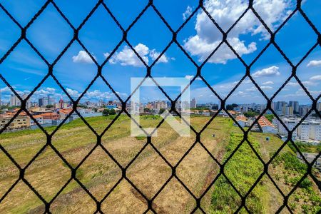 Vista de apartamento à venda com 3 quartos, 64m² em Nova Petrópolis, São Bernardo do Campo