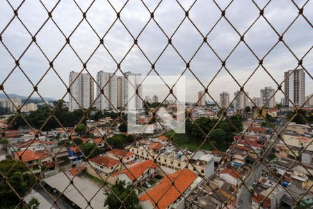 Vista da varanda da sala de apartamento para alugar com 3 quartos, 98m² em Lauzane Paulista, São Paulo