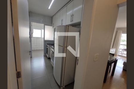 Cozinha de apartamento para alugar com 2 quartos, 60m² em Vila Ipojuca, São Paulo
