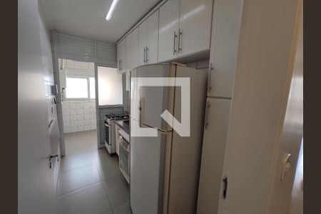 Cozinha de apartamento para alugar com 2 quartos, 60m² em Vila Ipojuca, São Paulo
