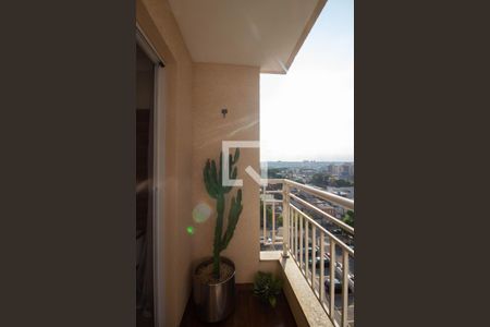 varanda de apartamento para alugar com 2 quartos, 50m² em Jardim Norma, São Paulo