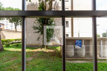 Vista Quarto 1 de apartamento para alugar com 2 quartos, 56m² em Jardim Danfer, São Paulo