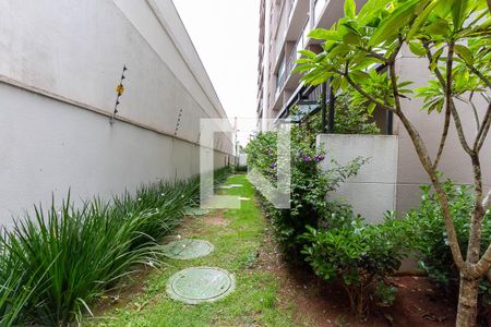 Área comum de apartamento para alugar com 1 quarto, 30m² em Água Branca, São Paulo