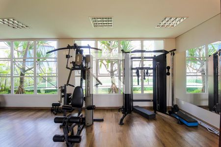 Apartamento para alugar com 80m², 2 quartos e 2 vagas Apartamento para alugar com 80m², 2 quartos e 2 vagasÁrea comum - Academia