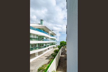 Quarto - Vista da Janela de apartamento para alugar com 1 quarto, 40m² em Cachoeira do Bom Jesus, Florianópolis