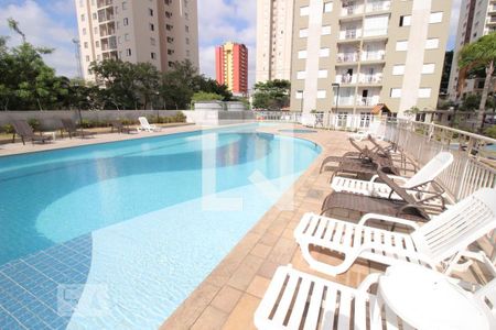 Área comum - Piscina de apartamento para alugar com 2 quartos, 54m² em Piqueri, São Paulo