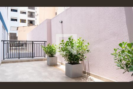 Apartamento para alugar com 26m², 1 quarto e sem vagaÁrea comum - Solarium