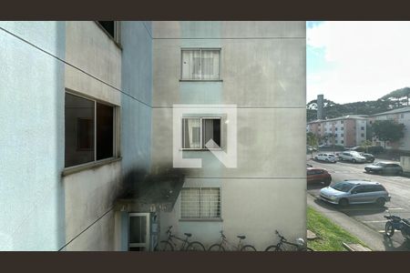 Vista de apartamento para alugar com 2 quartos, 50m² em Parque da Fonte, São José dos Pinhais