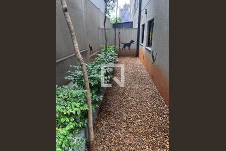 Studio para alugar com 28m², 1 quarto e sem vagaÁrea Comum - Pet Place