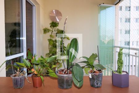 Apartamento à venda com 70m², 2 quartos e 1 vagaVaranda da sala 