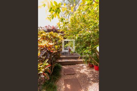 Casa para alugar com 328m², 5 quartos e 5 vagas Casa para alugar com 328m², 5 quartos e 5 vagasÁrea externa