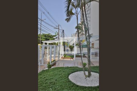 Apartamento para alugar com 75m², 1 quarto e 1 vagaÁrea Comum - Área Verde