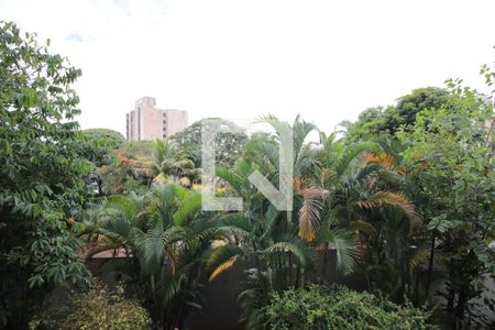 Vista da Varanda da Sala de apartamento para alugar com 3 quartos, 80m² em Jaraguá , Belo Horizonte