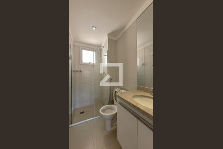 Banheiro Social de apartamento para alugar com 1 quarto, 59m² em Cambuí, Campinas