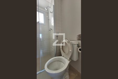 Banheiro Social de apartamento para alugar com 1 quarto, 59m² em Cambuí, Campinas