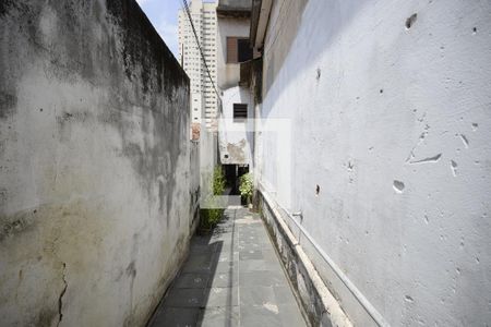 Casa à venda com 300m², 3 quartos e sem vagaCorredor