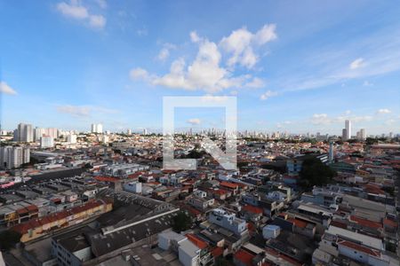 Apartamento para alugar com 28m², 1 quarto e sem vagaVista do Rooftop