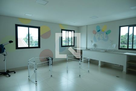 Apartamento para alugar com 29m², 1 quarto e sem vagaEspaço pet