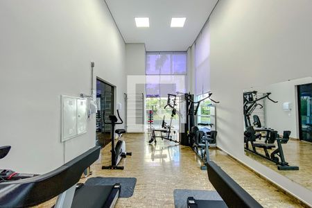 Área comum - Academia de apartamento para alugar com 4 quartos, 273m² em Vila Regente Feijó, São Paulo
