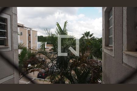 Apartamento para alugar com 60m², 3 quartos e 1 vagaVista do Quarto 3