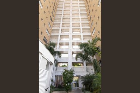 Apartamento para alugar com 25m², 1 quarto e sem vagaPrédio - Dentro do condomínio