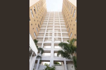 Apartamento para alugar com 25m², 1 quarto e sem vagaPrédio - Dentro do condomínio