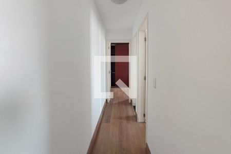 Corredor Quartos de apartamento para alugar com 2 quartos, 50m² em Jardim Nova Europa, Campinas