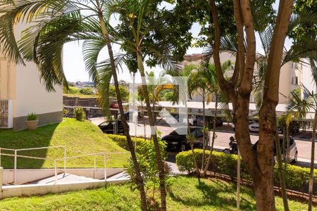 Vista da Sala de apartamento para alugar com 2 quartos, 55m² em Jardim Capivari, Campinas