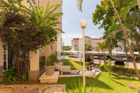 Vista do Quarto 1 de apartamento para alugar com 2 quartos, 55m² em Jardim Capivari, Campinas