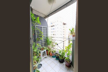 Varanda Sala de apartamento à venda com 3 quartos, 68m² em Rio Pequeno, São Paulo