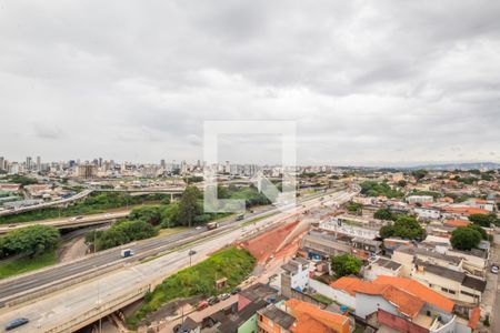 Apartamento para alugar com 50m², 2 quartos e 1 vaga Apartamento para alugar com 50m², 2 quartos e 1 vagaVista do Quarto 1