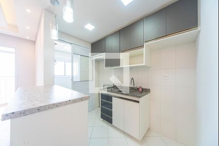 Cozinha de apartamento para alugar com 2 quartos, 52m² em Vila Curuçá, Santo André