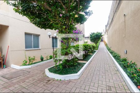 Apartamento para alugar com 45m², 2 quartos e 1 vaga Apartamento para alugar com 45m², 2 quartos e 1 vagaÁrea comum