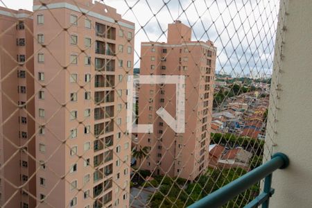 Vista da Varanda de apartamento para alugar com 3 quartos, 65m² em Vila Butantã, São Paulo