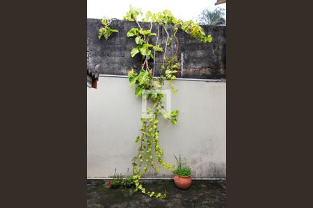 Casa para alugar com 55m², 1 quarto e sem vagaQuintal