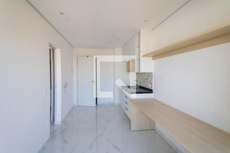Sala/Cozinha de apartamento para alugar com 1 quarto, 29m² em Jardim Independência (são Paulo), São Paulo