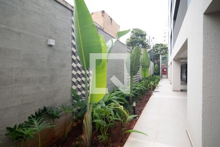 Studio para alugar com 28m², 1 quarto e sem vagaJardim