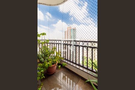 Apartamento à venda com 340m², 5 quartos e 4 vagas Apartamento à venda com 340m², 5 quartos e 4 vagasVaranda - Sala de Almoço