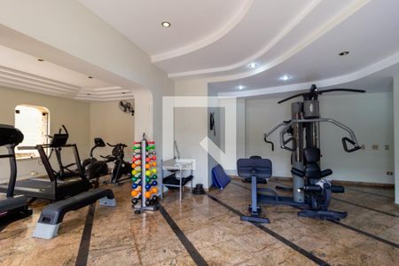 Apartamento à venda com 340m², 5 quartos e 4 vagas Apartamento à venda com 340m², 5 quartos e 4 vagasAcademia