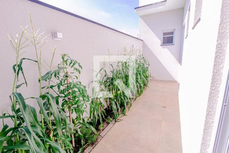 Área de Luz Suite de casa de condomínio para alugar com 3 quartos, 211m² em Jardim Esplanada, Indaiatuba