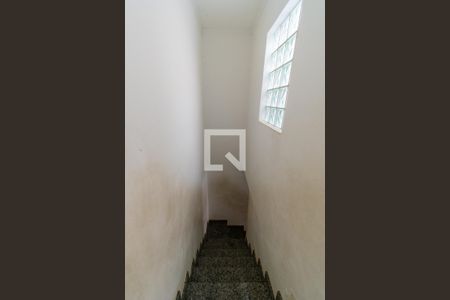Escada de casa à venda com 3 quartos, 110m² em Vila Carrao, São Paulo