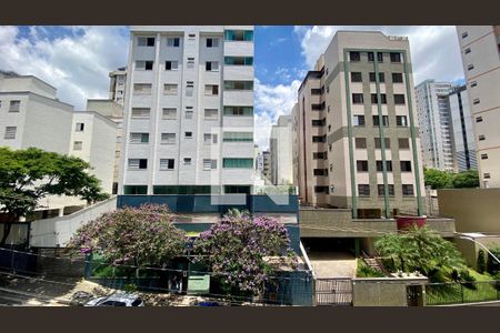 Vista de apartamento para alugar com 1 quarto, 50m² em Buritis, Belo Horizonte