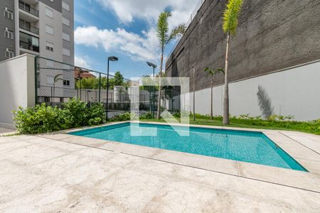 Área comum - Piscina de apartamento para alugar com 2 quartos, 55m² em Bonfim, Campinas