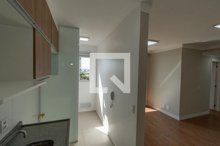 Cozinha de apartamento para alugar com 2 quartos, 55m² em Bonfim, Campinas