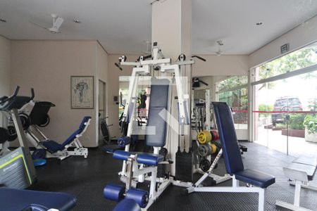 Apartamento à venda com 65m², 2 quartos e 1 vagaÁrea comum - Academia